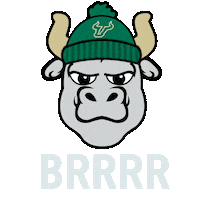 Rocky the Bull